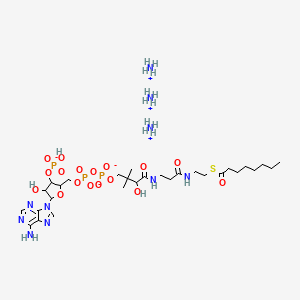 molecular formula C29H59N10O17P3S B12064125 octanoyl Coenzyme A (ammonium salt) 