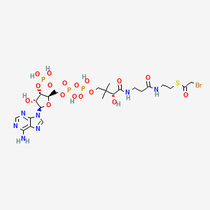 molecular formula C23H37BrN7O17P3S B1206456 2-Bromoacetyl coenzyme A CAS No. 7303-38-0