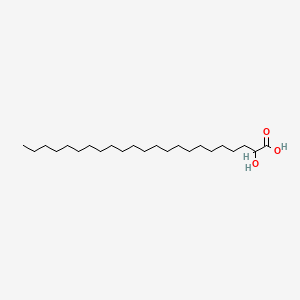molecular formula C23H46O3 B1206783 2-羟基二十三酸 CAS No. 26632-12-2