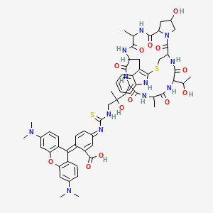 Phalloidin-TRITC