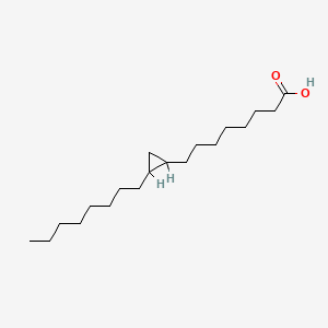 molecular formula C19H36O2 B1206801 Dihydrosterculic acid CAS No. 5711-28-4