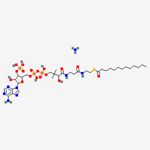 molecular formula C34H63N8O17P3S B12068469 tridecanoyl Coenzyme A (ammonium salt) 