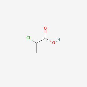 molecular formula C3H5ClO2<br>CH3CHClCOOH<br>C3H5ClO2 B1206957 2-Chloropropionic acid CAS No. 28554-00-9