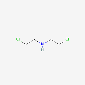 molecular formula C4H9Cl2N B1207034 双(2-氯乙基)胺 CAS No. 334-22-5