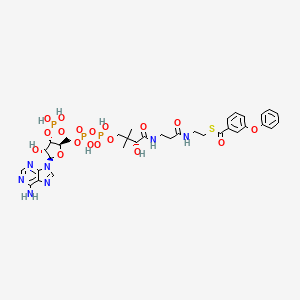 3-Phenoxybenzoyl-coenzyme A