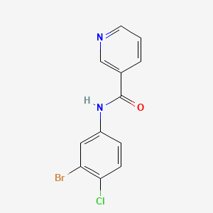 molecular formula C12H8BrClN2O B12071699 N-(3-Bromo-4-chlorophenyl)nicotinamide CAS No. 1065483-57-9