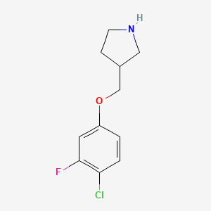 molecular formula C11H13ClFNO B12072168 3-[(4-Chloro-3-fluorophenoxy)methyl]pyrrolidine 
