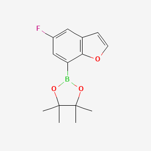 molecular formula C14H16BFO3 B12073110 2-(5-Fluoro-1-benzofuran-7-yl)-4,4,5,5-tetramethyl-1,3,2-dioxaborolane 