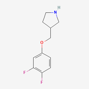 molecular formula C11H13F2NO B12073173 3-[(3,4-Difluorophenoxy)methyl]pyrrolidine 