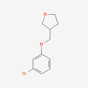molecular formula C11H13BrO2 B12073350 3-[(3-Bromophenoxy)methyl]oxolane 