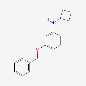 molecular formula C17H19NO B12073728 3-(Benzyloxy)-N-cyclobutylaniline 