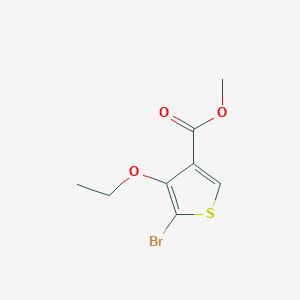 molecular formula C8H9BrO3S B12073850 Methyl 5-bromo-4-ethoxythiophene-3-carboxylate 