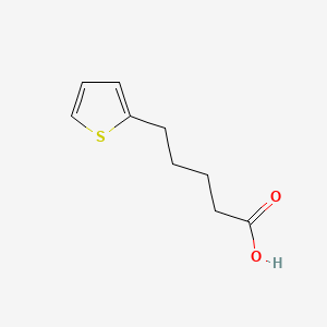 molecular formula C9H12O2S B1207467 5-(2-Thienyl)Pentanoic Acid CAS No. 21010-06-0