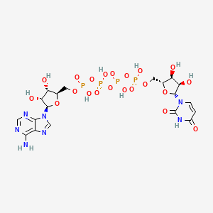 Adenosine(5')tetraphosphate Uridine