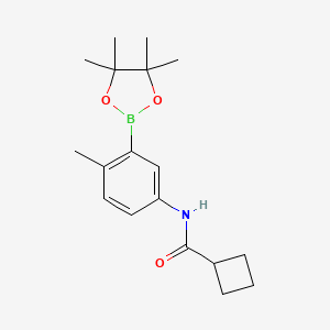 molecular formula C18H26BNO3 B12074939 N-(4-methyl-3-(4,4,5,5-tetramethyl-1,3,2-dioxaborolan-2-yl)phenyl)cyclobutanecarboxamide 