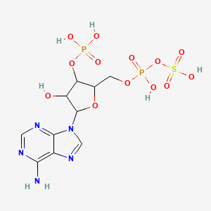 molecular formula C10H15N5O13P2S B12074978 3'-Phosphonato-5'-adenylyl sulfate 