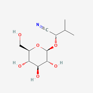 molecular formula C11H19NO6 B1207530 Heterodendrin CAS No. 66465-22-3