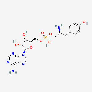 molecular formula C19H25N6O8P B1207533 Adenylyl-tyrosine CAS No. 6372-08-3