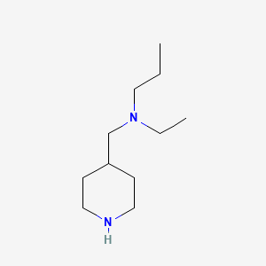 molecular formula C11H24N2 B12075467 Ethyl[(piperidin-4-yl)methyl]propylamine 