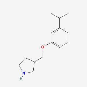molecular formula C14H21NO B12075686 3-{[3-(Propan-2-yl)phenoxy]methyl}pyrrolidine 