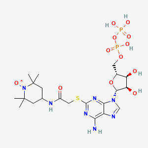 molecular formula C21H34N7O12P2S B1207583 1-Piperidinyloxy, 4-((((6-amino-9-(5-O-(hydroxy(phosphonooxy)phosphinyl)-beta-D-ribofuranosyl)-9H-purin-2-yl)thio)acetyl)amino)-2,2,6,6-tetramethyl- CAS No. 69924-32-9