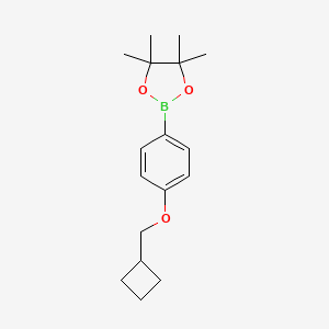 molecular formula C17H25BO3 B12076227 2-(4-(Cyclobutylmethoxy)phenyl)-4,4,5,5-tetramethyl-1,3,2-dioxaborolane 