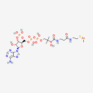 molecular formula C23H41AsN7O16P3S B1207654 S-Dimethylarsino-coenzyme A CAS No. 88978-30-7