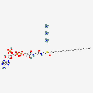 molecular formula C43H87N10O17P3S B12076841 behenoyl Coenzyme A (ammonium salt) 