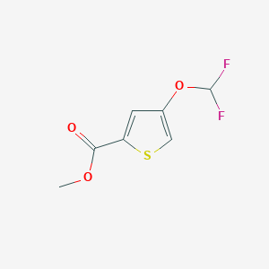 molecular formula C7H6F2O3S B12076887 Methyl 4-(difluoromethoxy)thiophene-2-carboxylate 