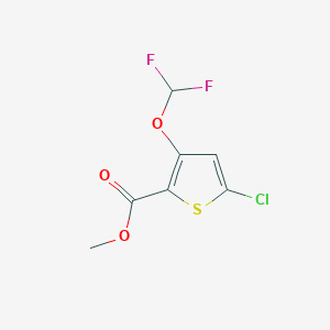 molecular formula C7H5ClF2O3S B12077031 Methyl 5-chloro-3-(difluoromethoxy)thiophene-2-carboxylate 
