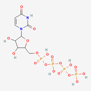 molecular formula C9H16N2O18P4 B12077153 [[5-(2,4-Dioxopyrimidin-1-yl)-3,4-dihydroxyoxolan-2-yl]methoxy-hydroxyphosphoryl] [hydroxy(phosphonooxy)phosphoryl] hydrogen phosphate 
