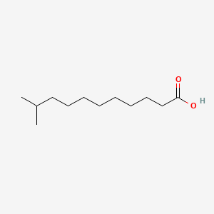 molecular formula C12H24O2 B1207798 10-Methylundecanoic acid CAS No. 2724-56-3
