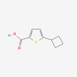 molecular formula C9H10O2S B12078002 5-Cyclobutylthiophene-2-carboxylic acid 