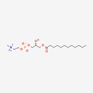 molecular formula C20H42NO7P B1207832 L-alpha-lysophosphatidylcholine, lauroyl CAS No. 20559-18-6