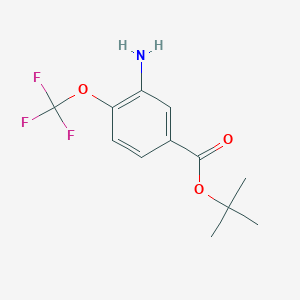molecular formula C12H14F3NO3 B12078373 tert-Butyl 3-amino-4-(trifluoromethoxy)benzoate 