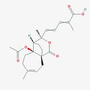 molecular formula C22H28O6 B1207963 5-[(1R,7S,8S,9R)-7-acetyloxy-4,9-dimethyl-11-oxo-10-oxatricyclo[6.3.2.01,7]tridec-3-en-9-yl]-2-methylpenta-2,4-dienoic acid 
