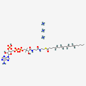 molecular formula C41H75N10O17P3S B12082929 triazanium;[5-(6-aminopurin-9-yl)-4-hydroxy-2-[[[[3-hydroxy-4-[[3-[2-[(5E,8E,11E,14E)-icosa-5,8,11,14-tetraenoyl]sulfanylethylamino]-3-oxopropyl]amino]-2,2-dimethyl-4-oxobutoxy]-oxidophosphoryl]oxy-oxidophosphoryl]oxymethyl]oxolan-3-yl] hydrogen phosphate 