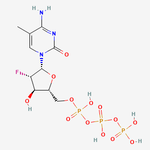 molecular formula C10H17FN3O13P3 B1208333 1-(2'-Deoxy-2'-fluoro-beta-arabinofuranosyl)-5-methylcytosine triphosphate CAS No. 79570-62-0