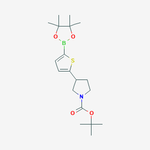 molecular formula C19H30BNO4S B12083787 tert-butyl 3-[5-(4,4,5,5-tetramethyl-1,3,2-dioxaborolan-2-yl)thiophen-2-yl]pyrrolidine-1-carboxylate 