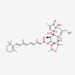 molecular formula C42H56O8 B1208407 [(1S,2S,6R,10S,11R,13S,14R,15R)-13-acetyloxy-1,6-dihydroxy-8-(hydroxymethyl)-4,12,12,15-tetramethyl-5-oxo-14-tetracyclo[8.5.0.02,6.011,13]pentadeca-3,8-dienyl] 3,7-dimethyl-9-(2,6,6-trimethylcyclohexen-1-yl)nona-2,4,6,8-tetraenoate 