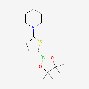 molecular formula C15H24BNO2S B12084123 Piperidine, 1-[5-(4,4,5,5-tetramethyl-1,3,2-dioxaborolan-2-yl)-2-thienyl]- CAS No. 1278579-62-6