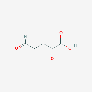molecular formula C5H6O4 B1208482 2,5-Dioxopentanoic acid CAS No. 1926-54-1