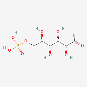 molecular formula C6H13O9P B1208527 Glucose-6-Phosphate CAS No. 56-73-5