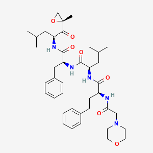 molecular formula C40H57N5O7 B12085574 (R)-4-Methyl-N-((S)-1-(((S)-4-Methyl-1-((R)-2-Methyloxiran-2-yl)-1-oxopentan-2-yl)aMino)-1-oxo-3-phenylpropan-2-yl)-2-((S)-2-(2-MorpholinoacetaMido)-4-phenylbutanaMido)pentanaMide 