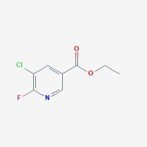molecular formula C8H7ClFNO2 B12086112 Ethyl 5-chloro-6-fluoronicotinate 