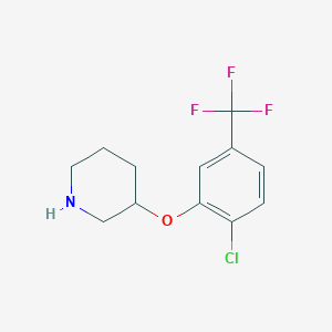 molecular formula C12H13ClF3NO B12089159 3-[2-Chloro-5-(trifluoromethyl)phenoxy]piperidine 