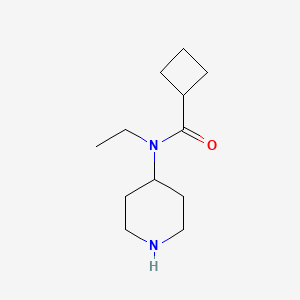 molecular formula C12H22N2O B12090167 N-Ethyl-N-(piperidin-4-yl)cyclobutanecarboxamide 