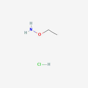 molecular formula C2H8ClNO B1209043 O-Ethylhydroxylamine hydrochloride CAS No. 3332-29-4