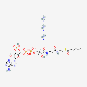 molecular formula C27H55N10O17P3S B12092971 hexanoyl Coenzyme A (ammonium salt) 