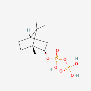 molecular formula C10H20O7P2 B1209312 (+)-Bornyl diphosphate CAS No. 64822-87-3